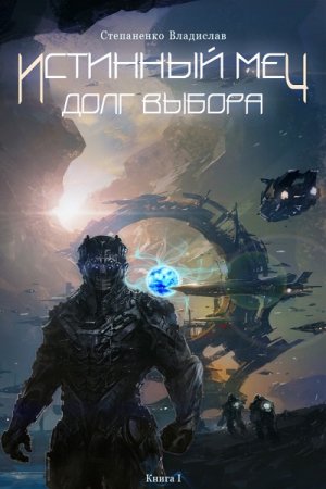 Постер к Истинный меч. Долг выбора - Владислав Степаненко