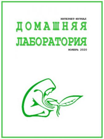 Постер к Домашняя лаборатория №11 (ноябрь 2020)
