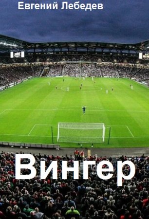 Постер к Евгений Лебедев. Цикл книг - Вингер